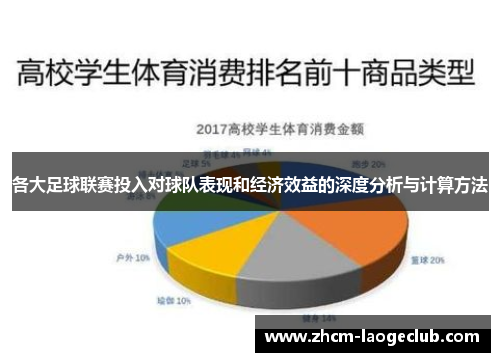 各大足球联赛投入对球队表现和经济效益的深度分析与计算方法