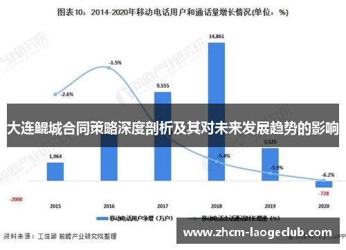 大连鲲城合同策略深度剖析及其对未来发展趋势的影响