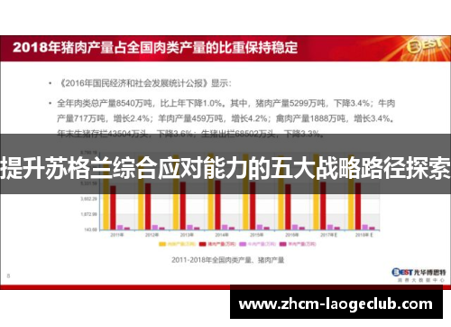 提升苏格兰综合应对能力的五大战略路径探索