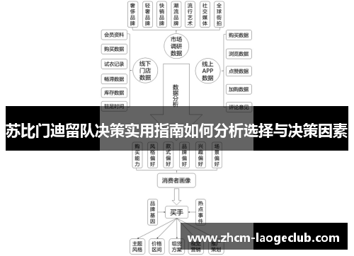 苏比门迪留队决策实用指南如何分析选择与决策因素