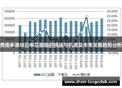 费南多退役后申花面临的挑战与机遇及未来发展趋势分析 费南多退役后申花面临的挑战与机遇及未来发展趋势分析