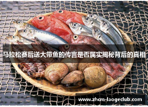 马拉松赛后送大带鱼的传言是否属实揭秘背后的真相