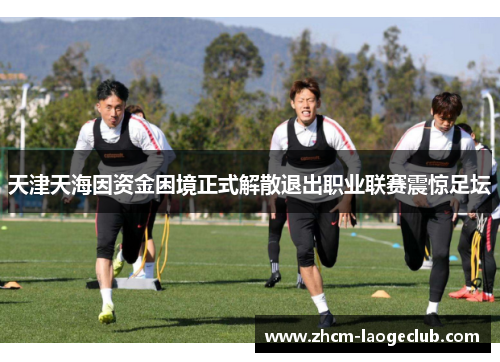 天津天海因资金困境正式解散退出职业联赛震惊足坛 天津天海因资金困境正式解散退出职业联赛震惊足坛