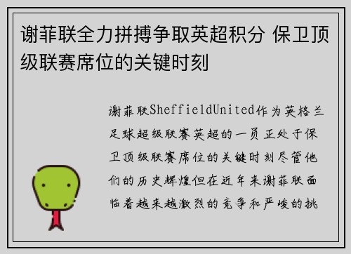 谢菲联全力拼搏争取英超积分 保卫顶级联赛席位的关键时刻