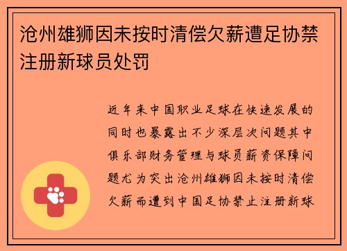 沧州雄狮因未按时清偿欠薪遭足协禁注册新球员处罚