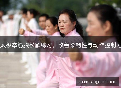 太极拳筋膜松解练习,改善柔韧性与动作控制力 太极拳筋膜松解练习,改善柔韧性与动作控制力